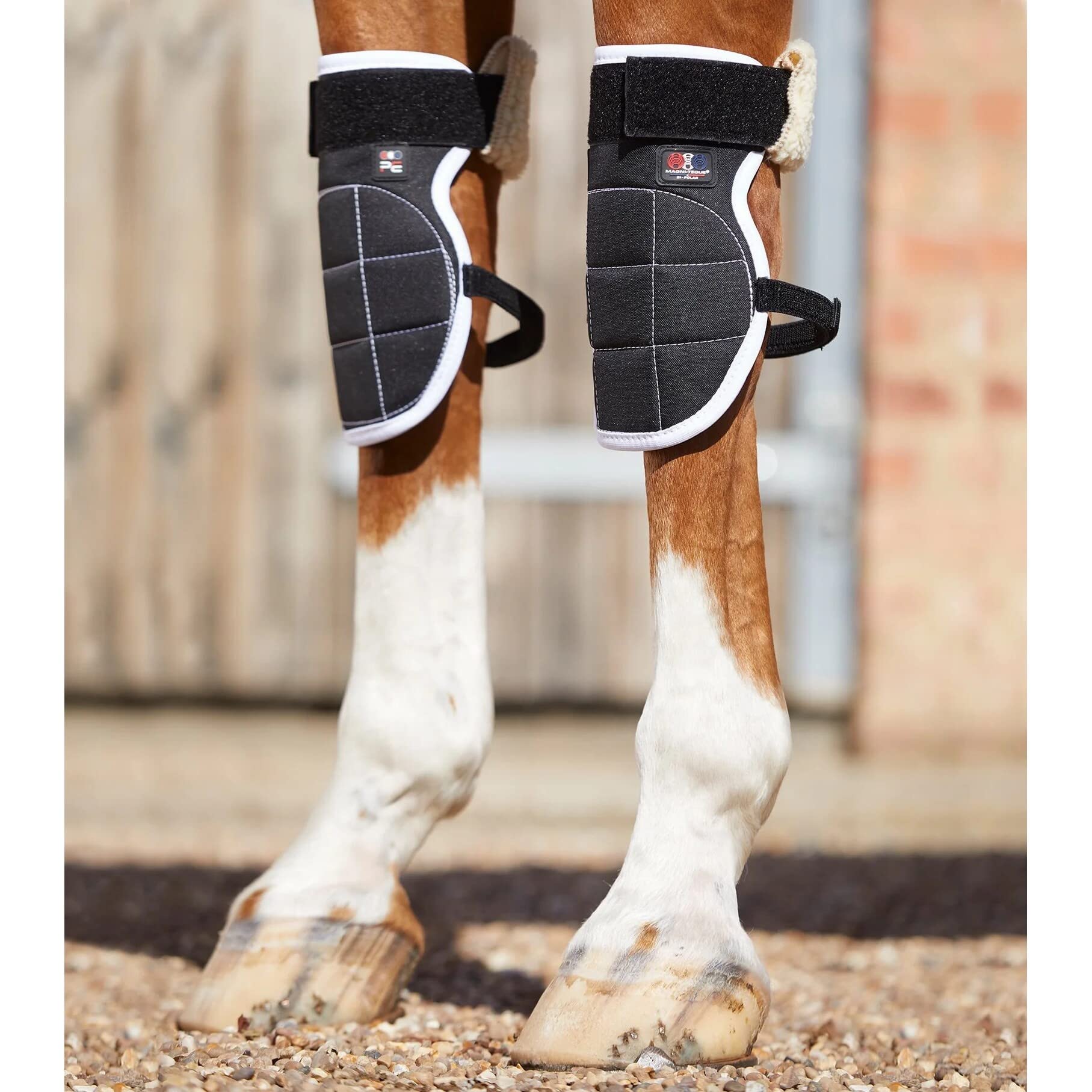Premier Equine Magni-Teque Magnetic Horse Knee Boots - Black