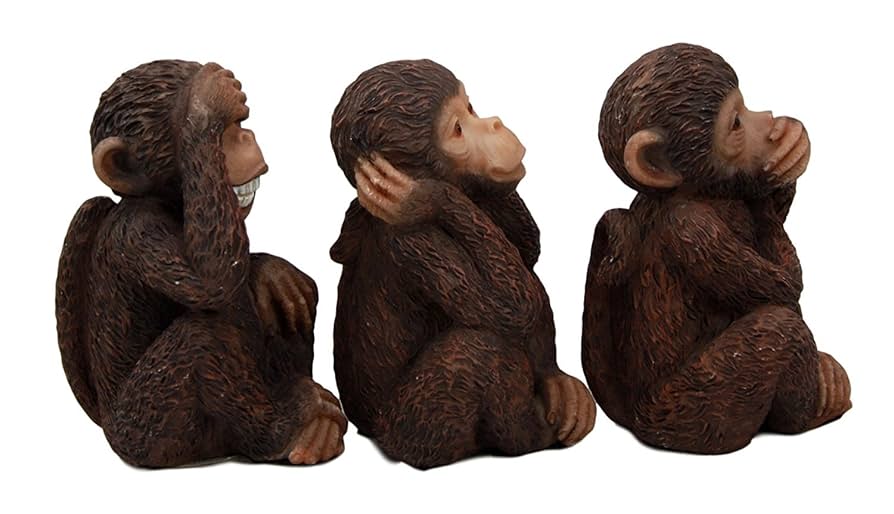 新品未開封 Wild Wise Apes 3rd world 新品未開封 Wild Wise Apes 3rd world 新品未開封 Wild Wise