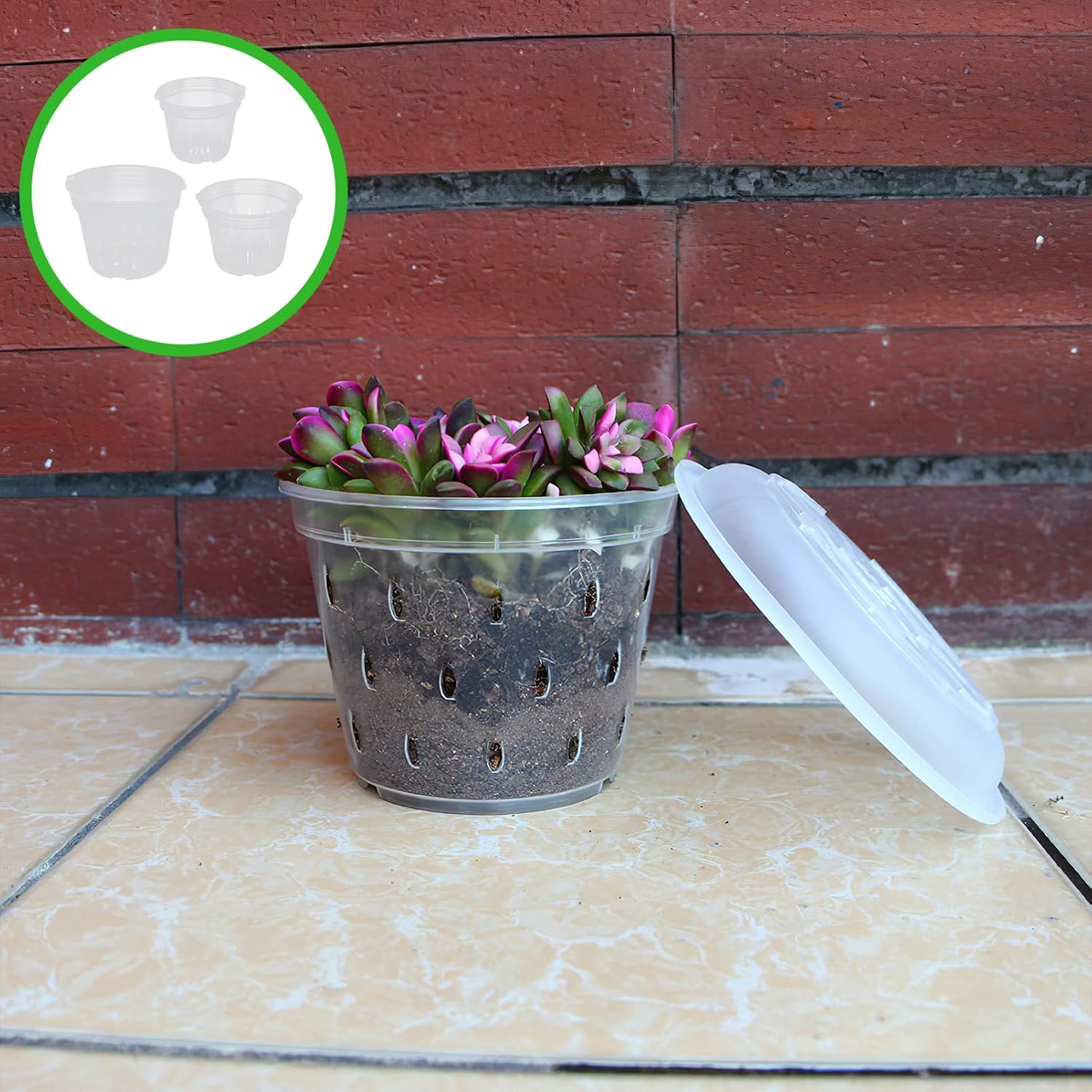 iplusmile 9pcs Breathable Pots Indoor Clear Orchid Pots Plastic Clear Orchid Planter Flower with Holes Plastic Flower