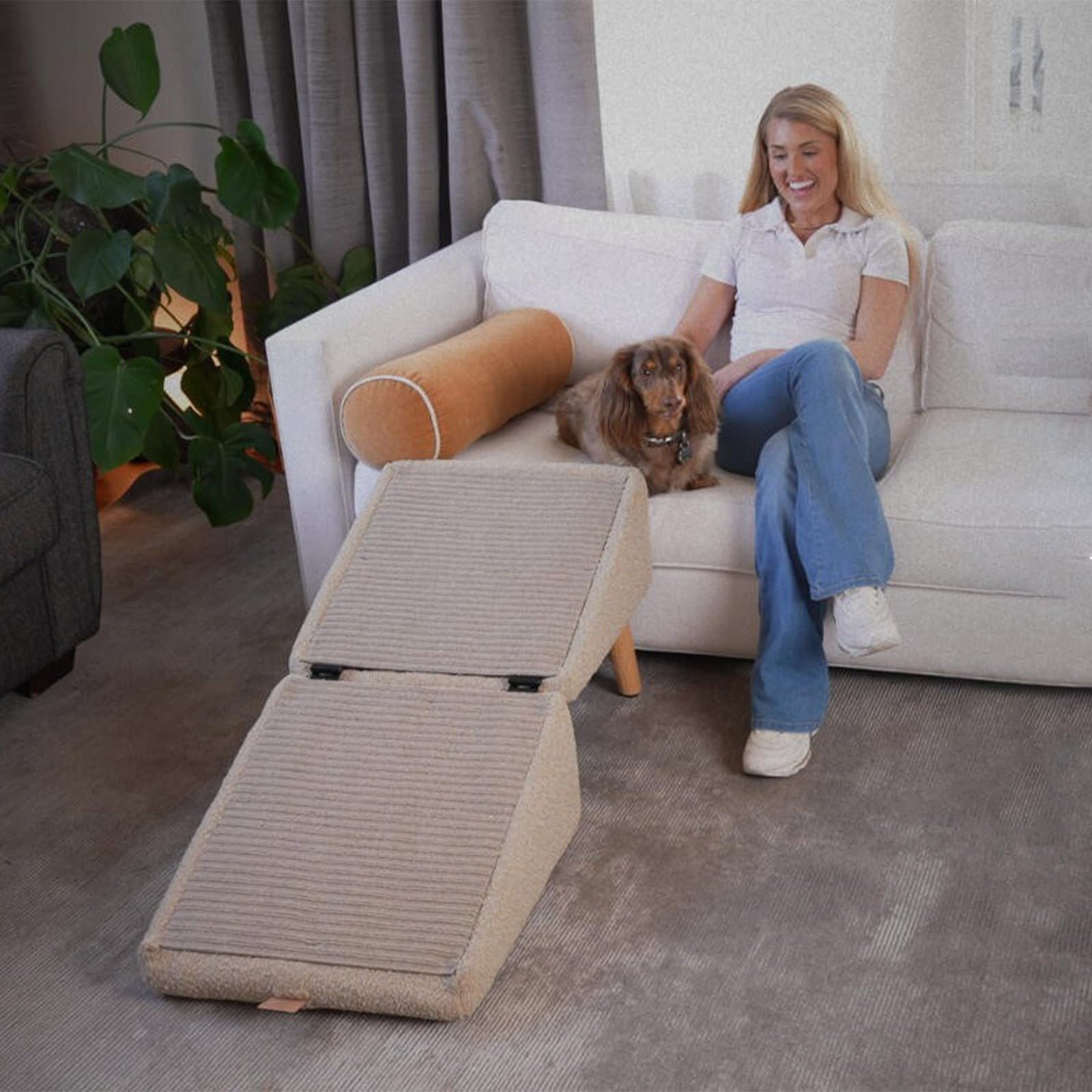 Rampa ottomana multifunzionale per animali domestici, con struttura e design ergonomico (A, 45 x 43 x 21 cm)