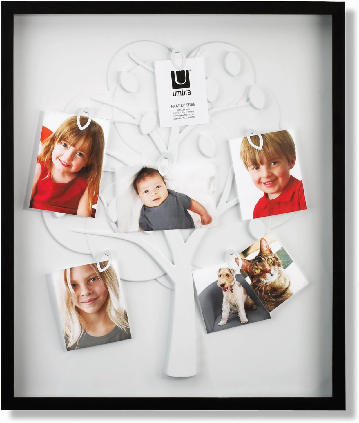 Umbra Family Tree Wall Frame, Black