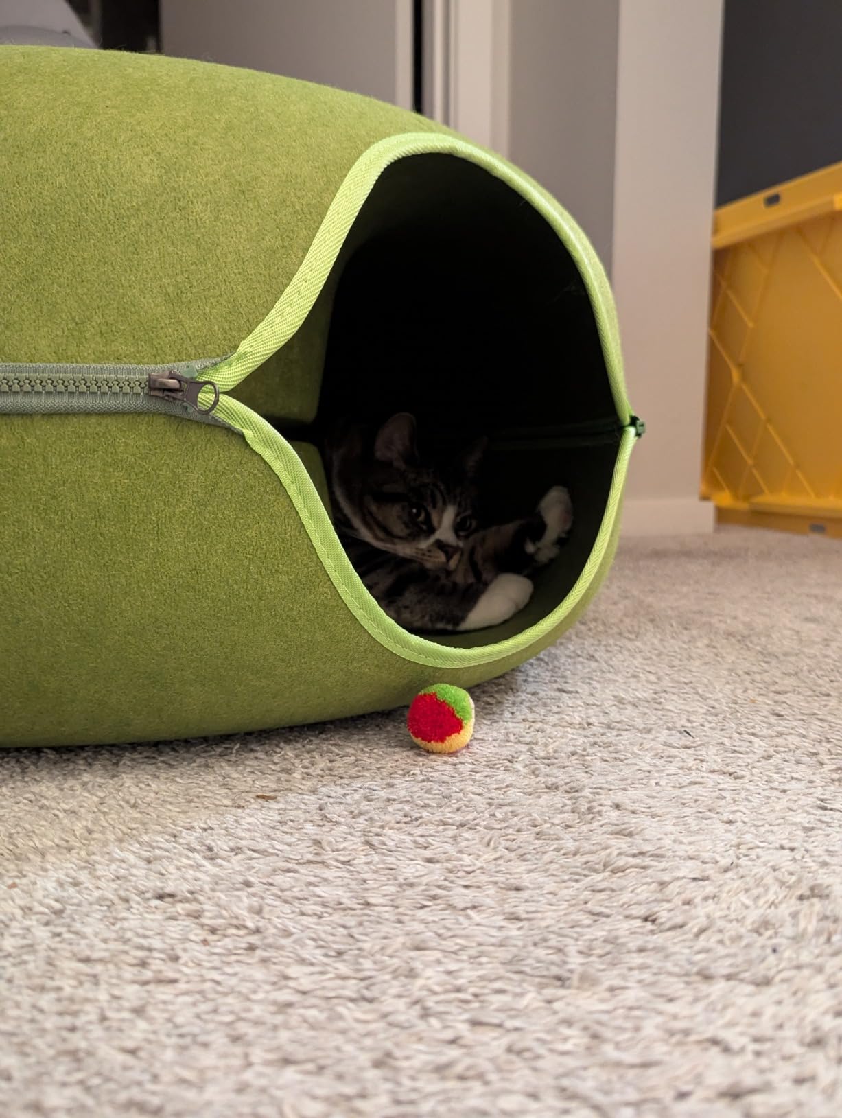 Large Cat Tunnel Bed for Indoor Cats with 3 Toys, Scratch Resistant Donut Cat Bed, Up to 30 Lbs (L 24x24x11, Dark Grey) photo review