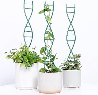 Indoor Spiral Metal Plant Trellis