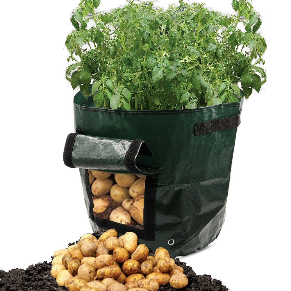 Sacs de culture Dreamerd de 26, 4 L / pot daération en tissu ...