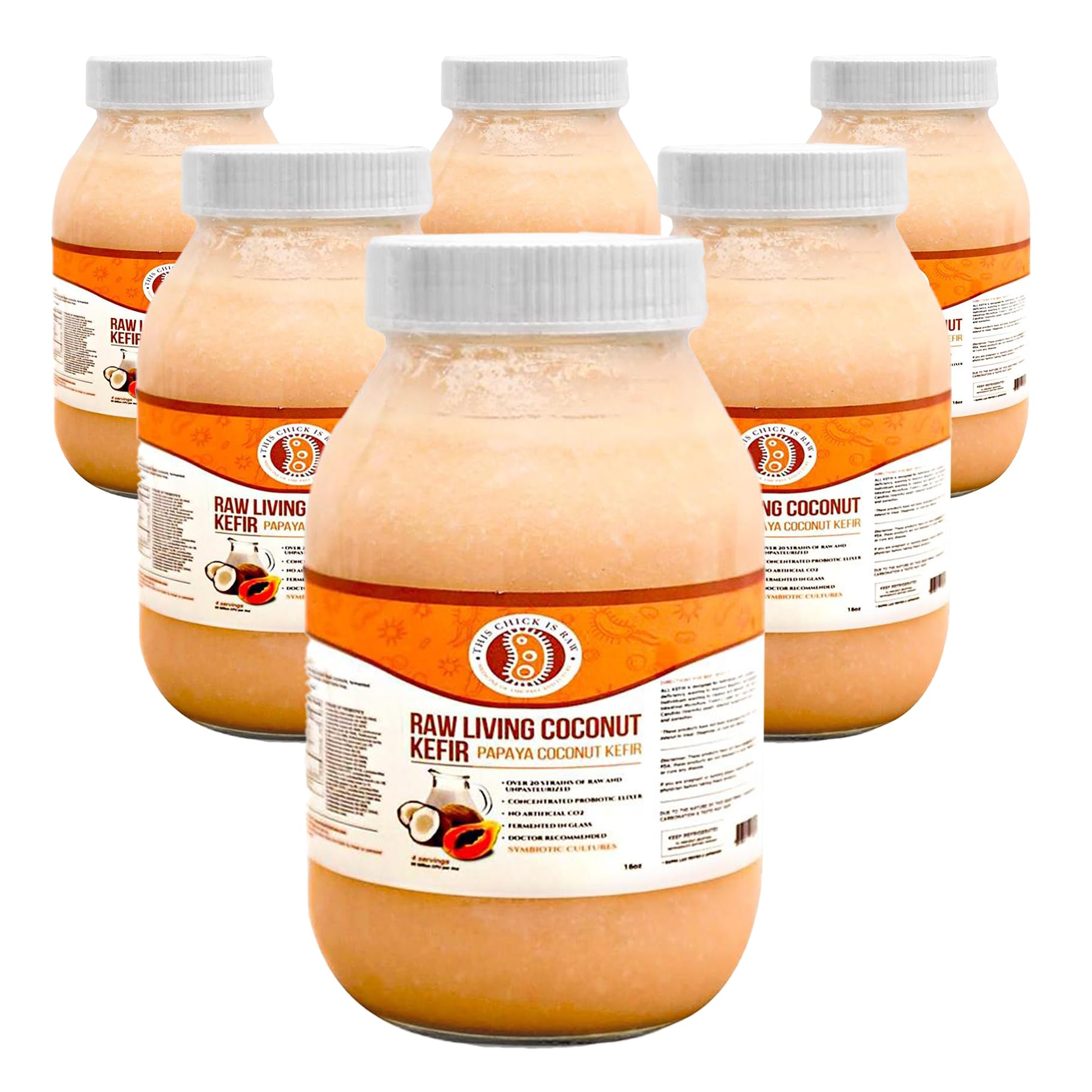 Papaya Coconut Milk Kefir – 5-Day Raw Fermented Probiotic Drink with Organic Papaya & Coconut | Gut & Digestive Health | Vegan, Low Sugar (Half Case)