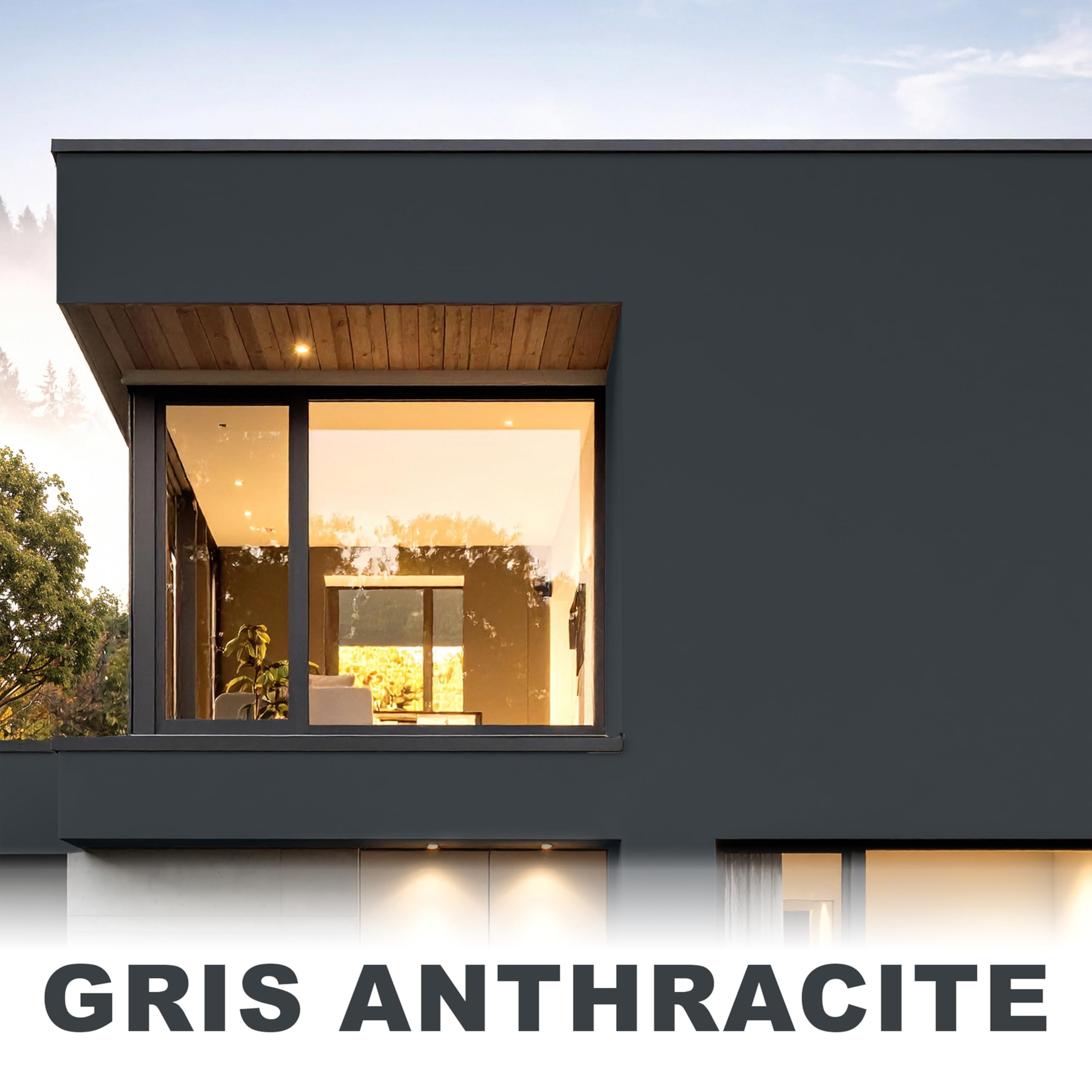 WO-WE Peinture Façade W520 Effet Perlant Rénovation des murs exterieurs Imperméable - Gris anthracite 10L