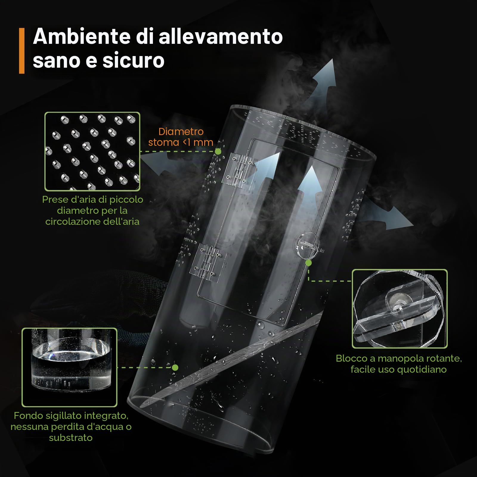 Terrario Cilindrico, 360° Terrarium Acrilico,Rettili Trasparente | Teca per Vivarium, Terrario Rettili per ragni, lumache, mantidi, lucertole, raganelle, paguri, coleotteri
