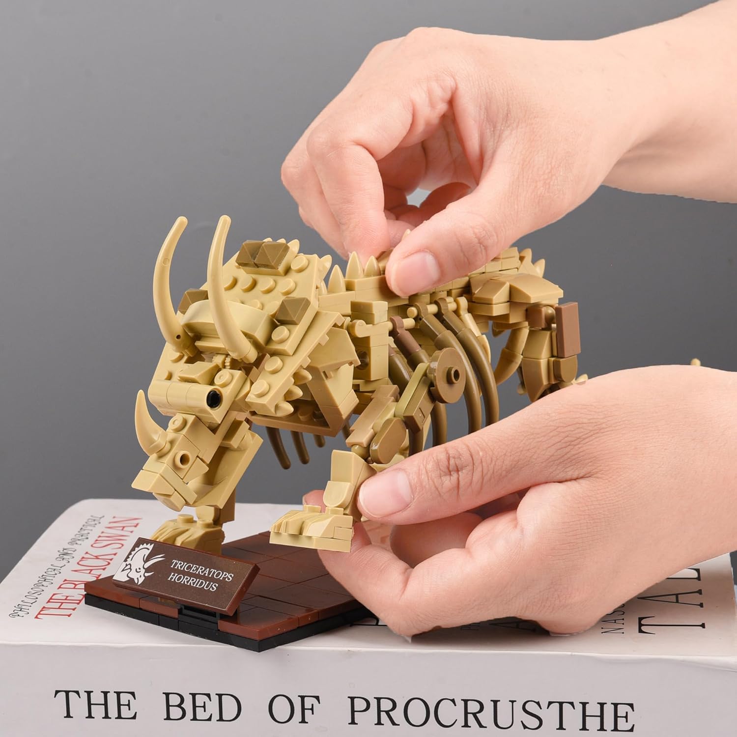 Triceratops Skeleton Building Kit - 318PCS Dinosaur Model with Movable Joints, Educational Toys for Adults, Collector Display Figures for Home and Office