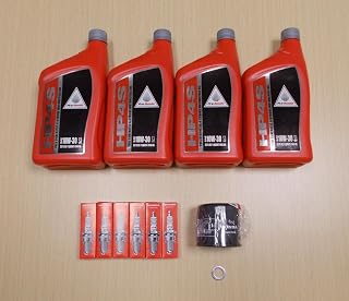 New 1988-2000 Honda GL1500 Goldwing Gold Wing OE Basic Synthetic Oil Tune-Up Kit