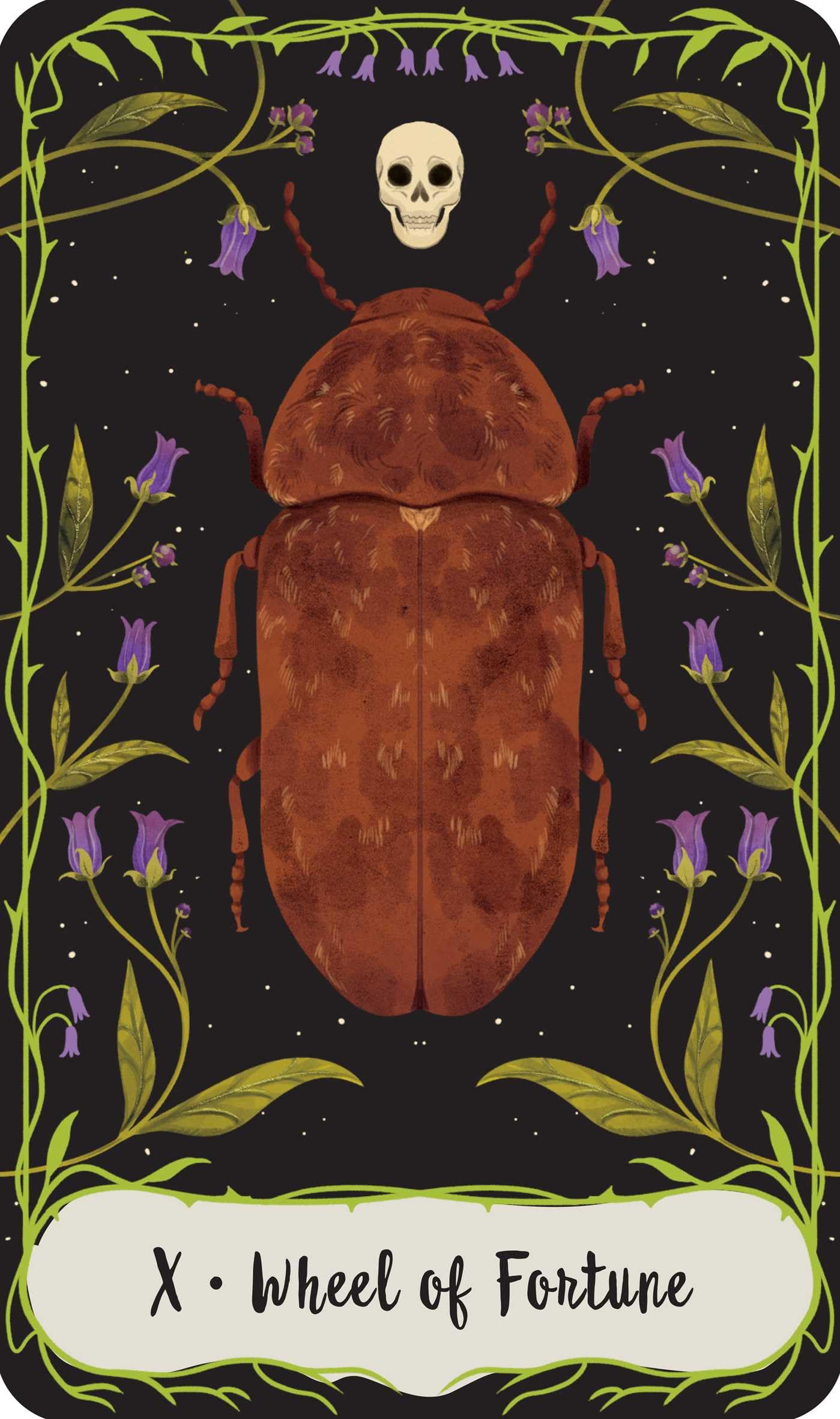 Practical Magic: The Motion Picture: The Official Tarot Deck and Guidebook