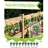 Product Photo 2