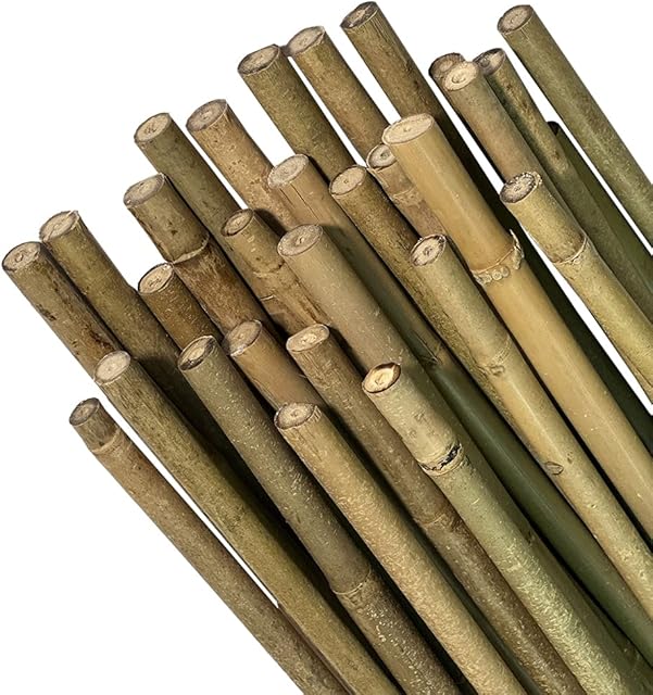 MAYOS - Strong Bamboo Garden Canes | Heavy Duty, 100% Natural Bamboo Plant Support Garden Canes | Bamboo Plant Poles Garden Stakes | 2FT X 5