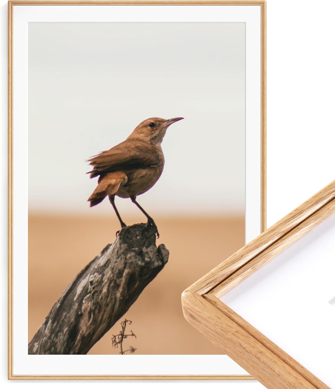 12X16 Picture Frame, Natural Solid Walnut Wood Picture Frame with High Tempered Glass, Handcrafted Rounded Corner 12 by 16 Wooden Frame Matted to 8.5X11 Photo for Horizontal or Vertical Wall Mounting