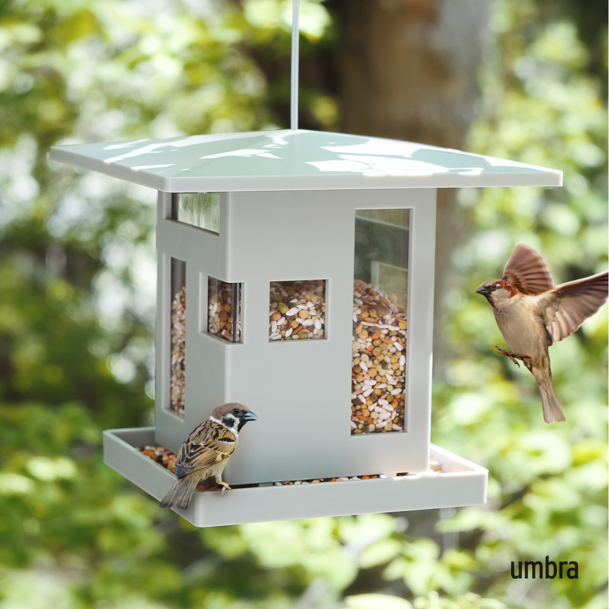Umbra Bird Cafe Comedero para pájaros con diseño arquitectónico, Moderno, para Colgar, Gris, 23x23x21 cm