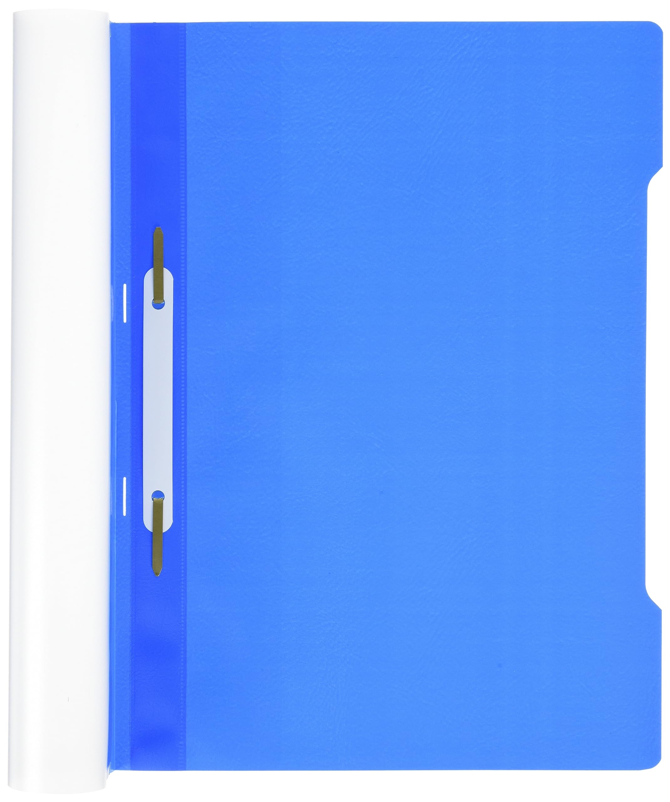 Durable 257306 Cartellina ad Aghi Clear View, Formato A4, Fronte Trasparente e Retro Colorato, Etichetta Longitudinale, Azzurro, Confezione da 50 Pezzi