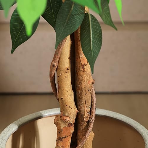 Miniatura 5 de SOGUYI Árbol de ficus artificial de 7 pies con tronco de madera natural, árbol de ficus falso de seda en maceta de plástico para guardería, planta