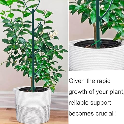 Miniatura 2 de Juego de 9 estacas desmontables de soporte para plantas, se mezcla para plantas, ramas con lazos para plantas, ramitas enrejadas para plantas de