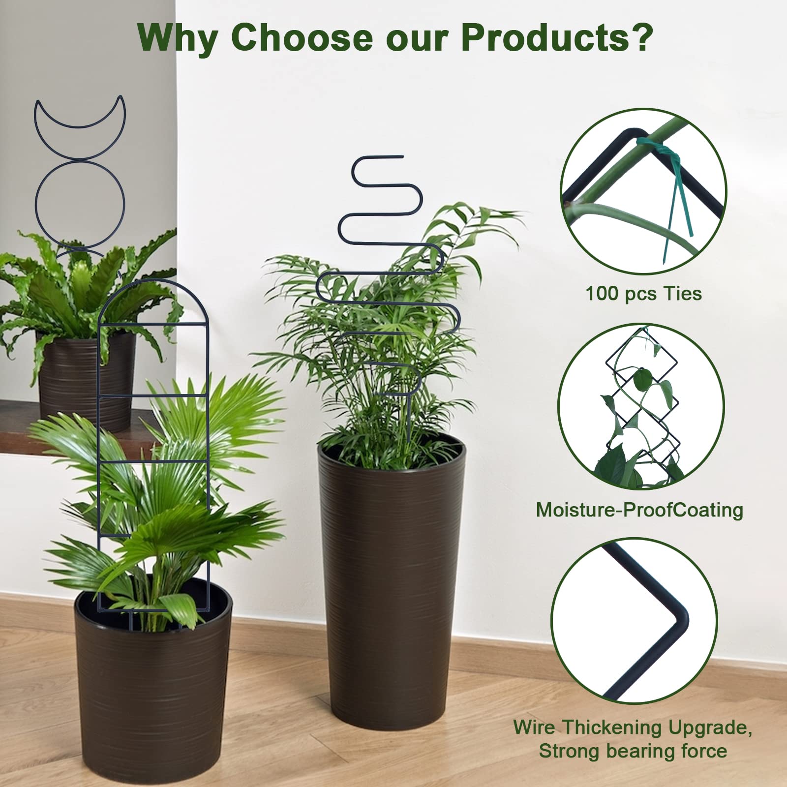 Treillis Métallique Pour Plantes Grimpantes – Forme éventail 30 X 40 Cm – Noir – Pour Intérieur/extérieur – Lierre, Clématite, Jasmin
