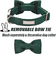 Vista 3 de Collares Verdes para Perros Pequeños, Lindo Collar de Pana para Perro con Corbatín, Hebilla de Metal de Seguridad, Collares Ajustables