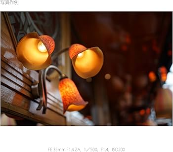 SONY Distagon T* FE 35mm F1.4 ZA 単焦点レンズ Amazon.co.jp: SONY(ソニー) 単焦点レンズ Distagon T* FE 35mm F1.4