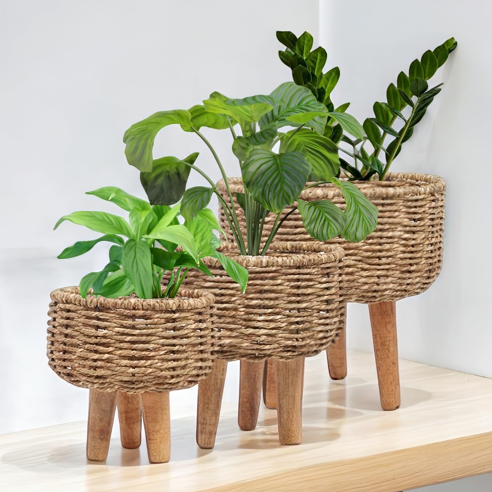 MAAZ Collections Handmade Jute Rope Planters, Durable Plant Container, Gamla/Flower Pot for Indoor Decor, Set of 3 (Large) (Natural) (B0D6NQ2JVF) Amazon Price History, Amazon Price Tracker