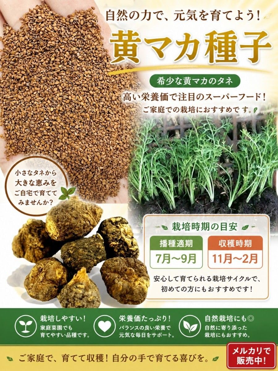 八ケ岳高原産 マカ種子 120g Amazon｜マカ種子 1000粒 八ケ岳高原産｜観葉植物 オンライン通販