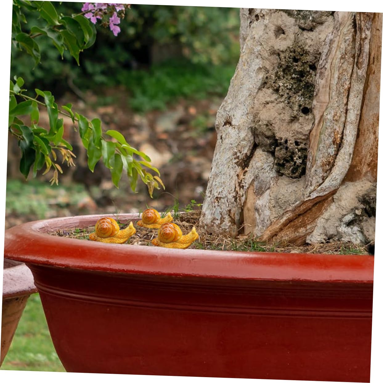 CIYODO Set 5 Pezzi Lumaca Decorativa in Miniatura Per Giardino, Figurina Di Lumaca in Resina Per Micro Paesaggio e Decorazione Bonsai