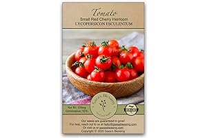 Gaea's Blessing Tomato Seeds: Nurturing Your Cherry Tomato Hydroponic Garden