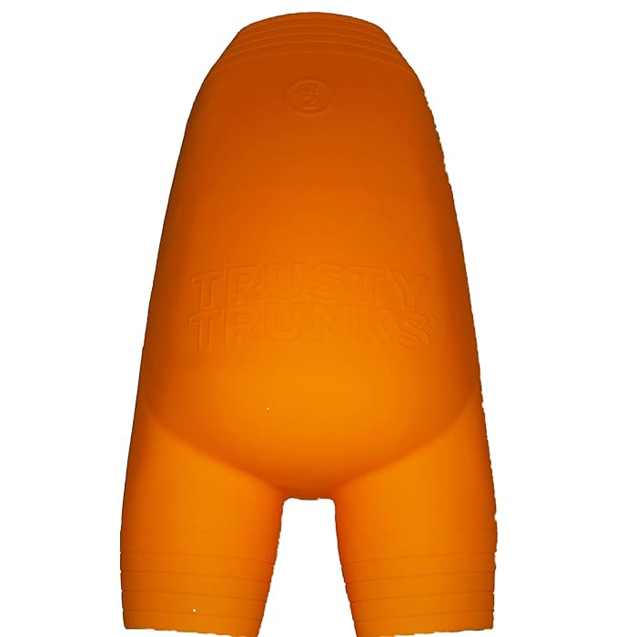 Buy LeakProof, Waterproof, SandProof Swim Diaper. TrustyTrunks, YES