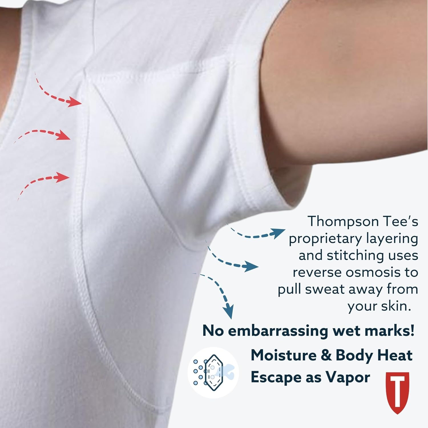 Sweat Proof Undershirt for Women from Thompson Tee, (Slim Fit, Scoop Neck) - Image 3