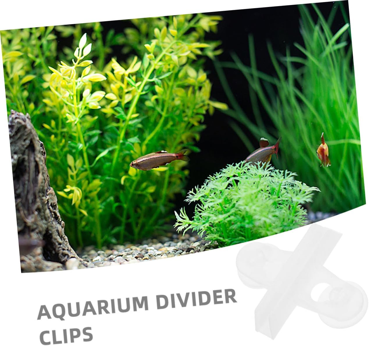 20pcs Aquarium Divider Clips with Suction Cup Holders Sturdy Abs Fish Tank Isolation Plate Support for Easy Installation Versatile Use Secure Stable for Various Tank
