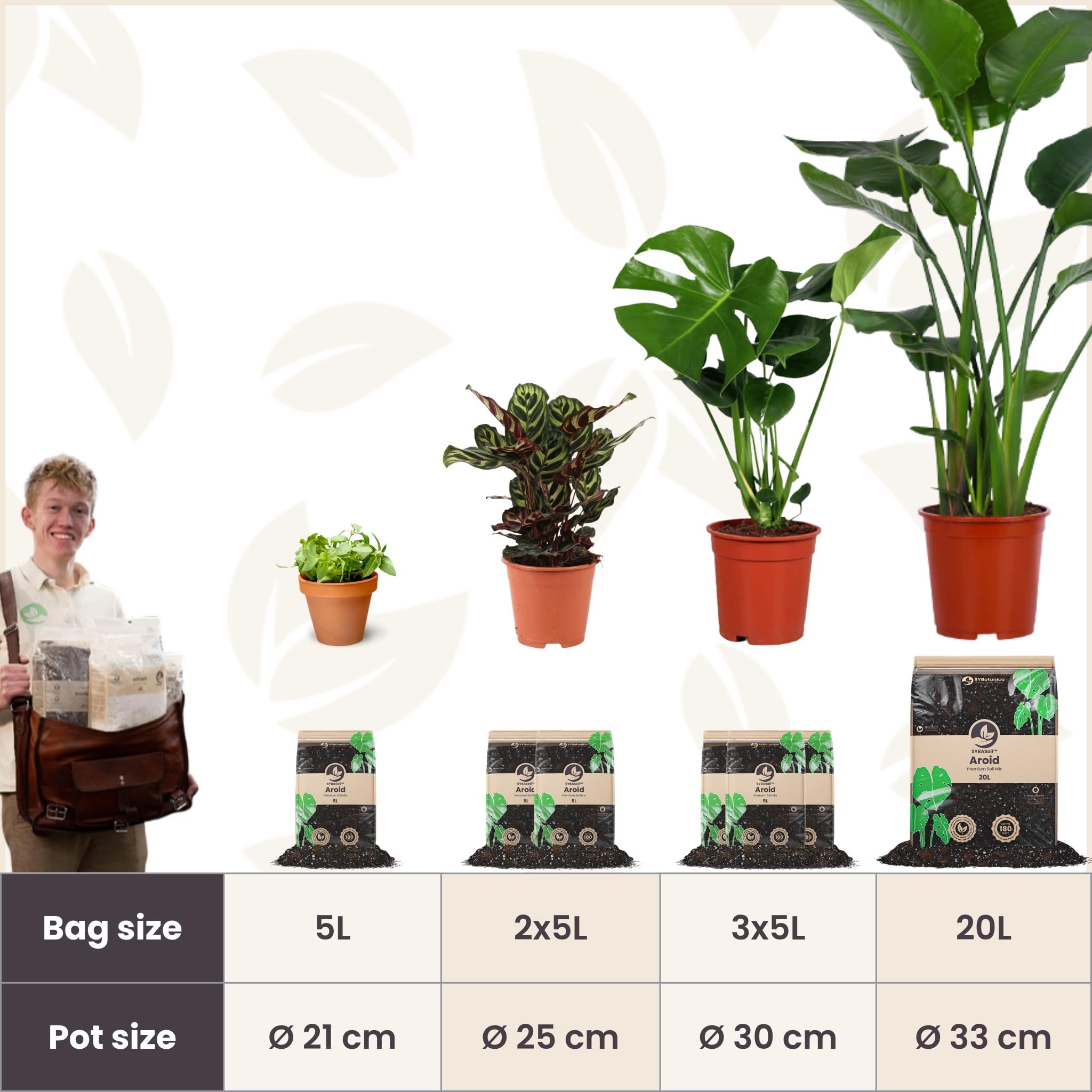 Sybotanica - Substrato para Calathea y Maranta 20 L - Coco Premium para Calathea, Maranta, Begonia, Musa, Strelitzia - Sin Turba - Abono Orgánico 180 Días - Ideal para Interior