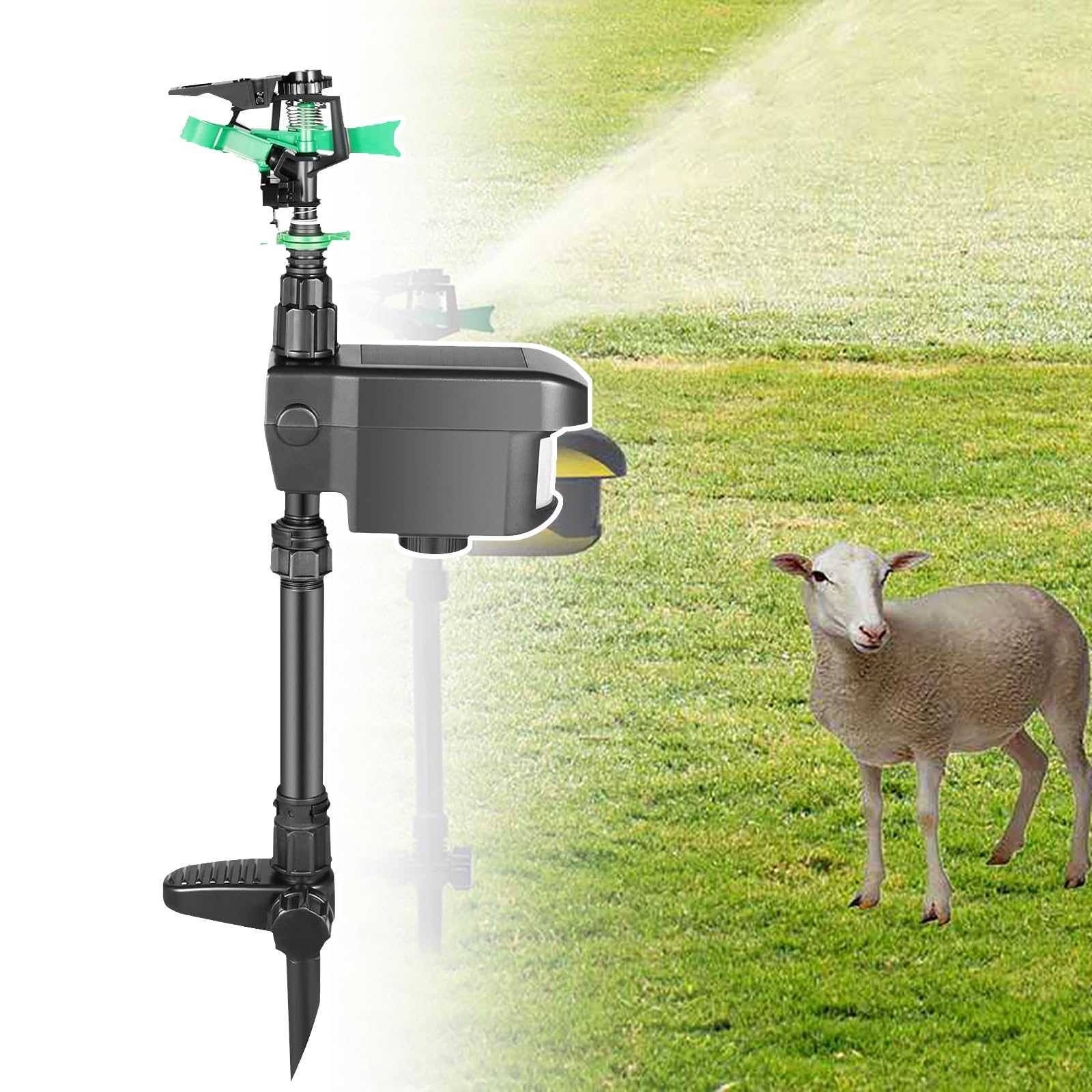 Répulsif à jet d'eau contre les chats : arroseur de jardin noir solaire 10m