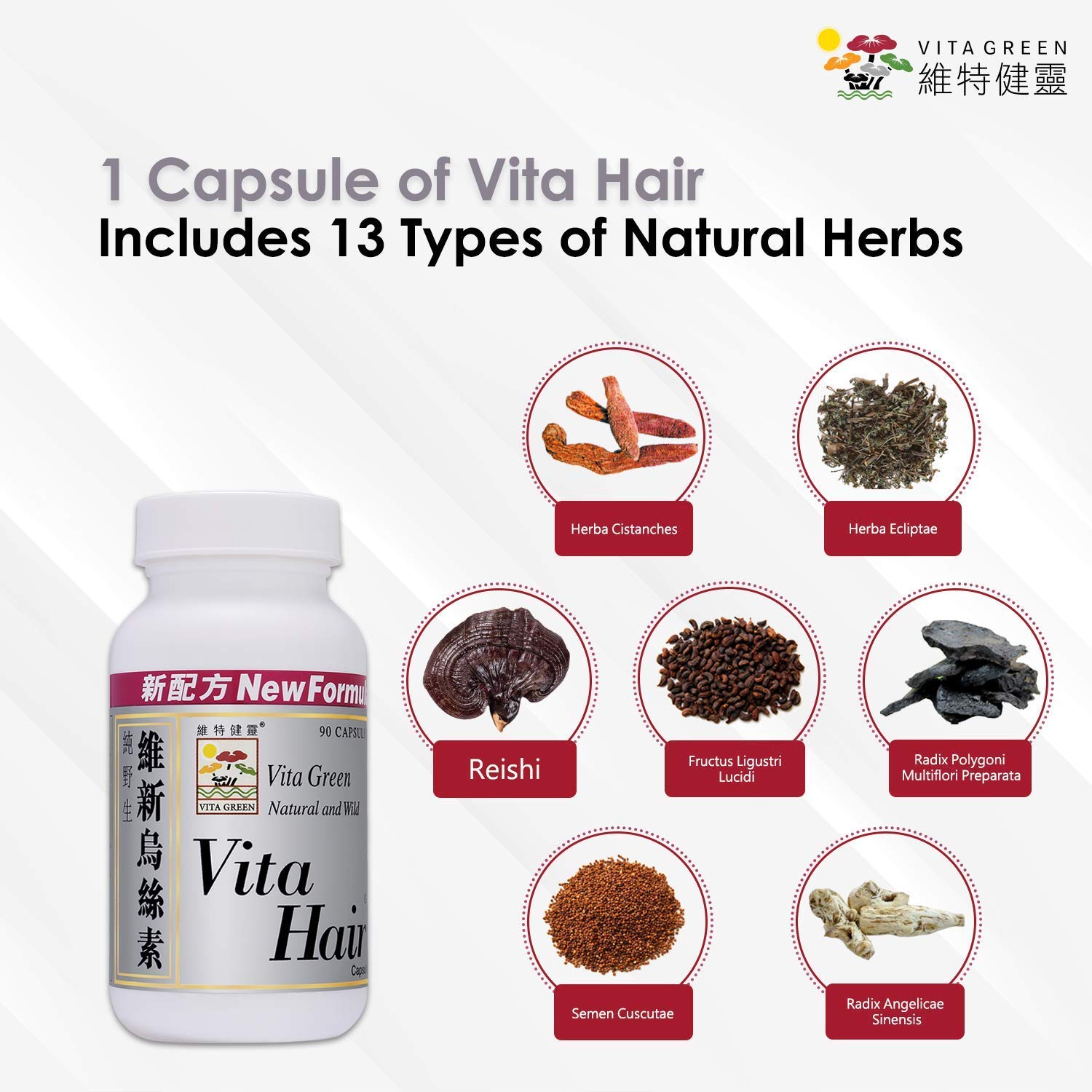 Buy Vita Hair Growth & Hair Loss 100 Natural Herbs Potent Formula for