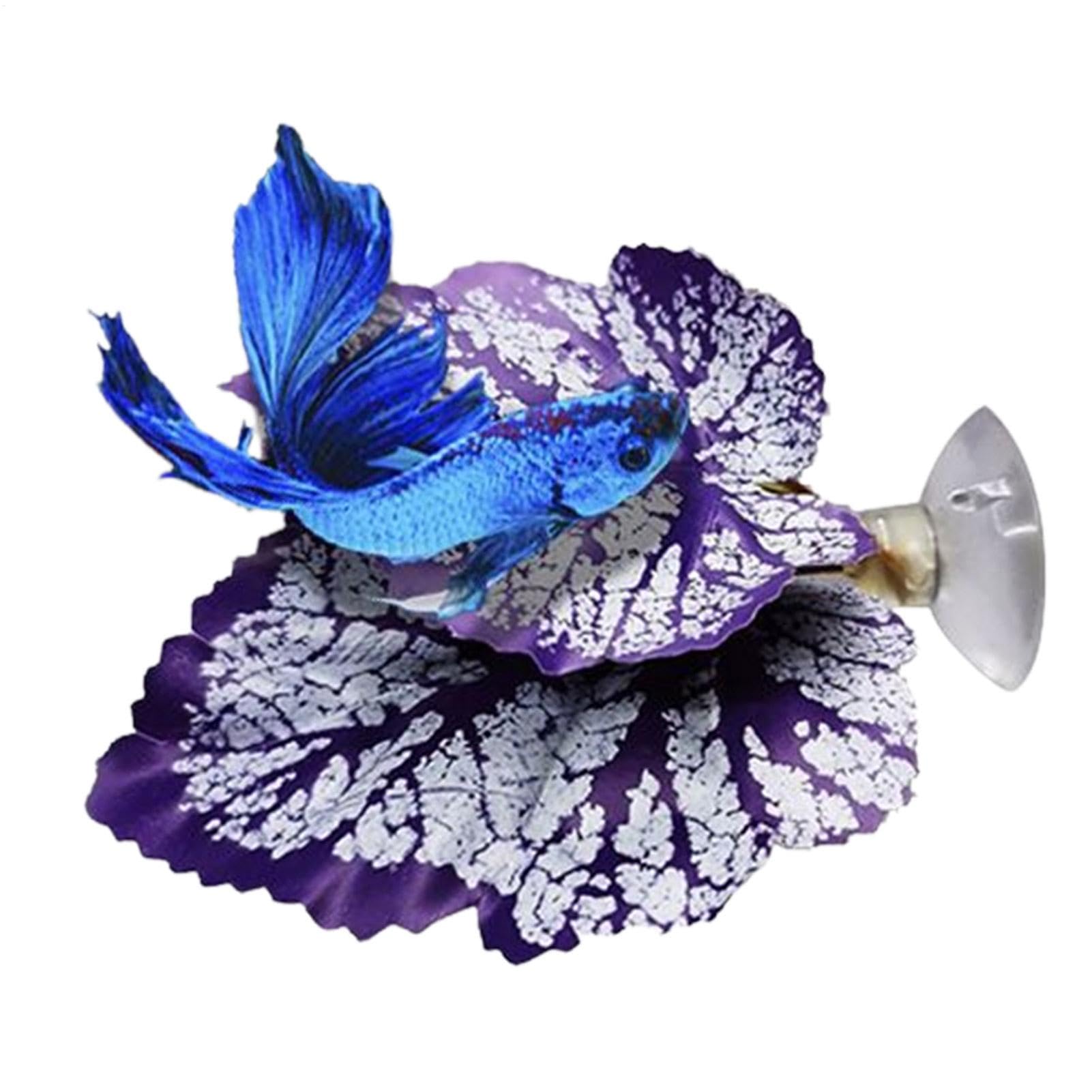 XIAOXIAOYU Feuille de Repos pour Poisson Betta, Coussinet de Feuilles de Poisson Betta,Feuille de Betta légère | Coussinet de Feuilles de Flexible et sûr, pour Aquarium de Poissons Betta, Aquarium,