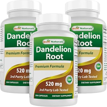 Best Naturals Dandelion Root 520 mg 250 Capsules 250 Count Pack of 3