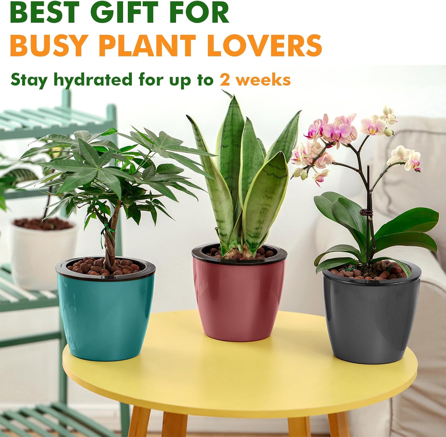 Planterhoma 5 Inch Self Watering Pots for Indoor Plants, 6 Packs African Violet Pots with Indicator, Black Wick Pot with Drainage Holes, Self Watering Planters for Orchid, Devil's Ivy, White - Image 6