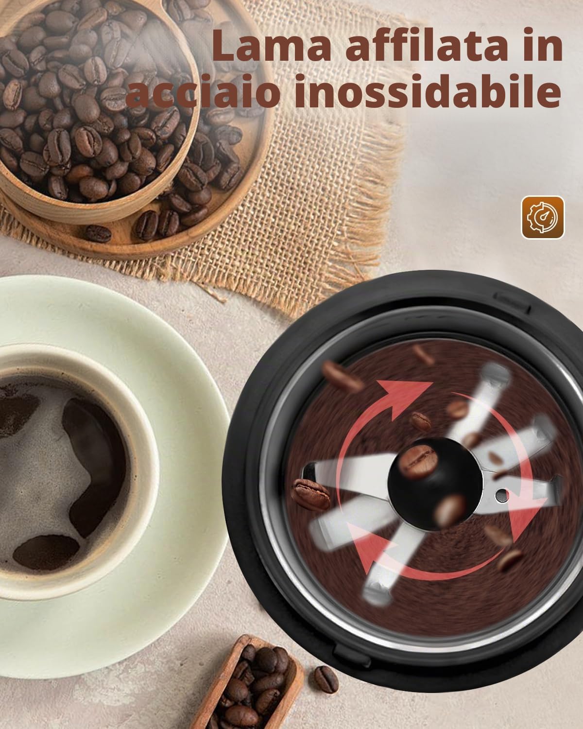Macinacaffè Elettrico in Acciaio Inossidabile, 150W 22000 RPM Ad Alta Velocità, Capienza 50g, Macinino Compatto per Caffè, Noci, Spezie, Zucchero (9.7x9.7x17.8cm)