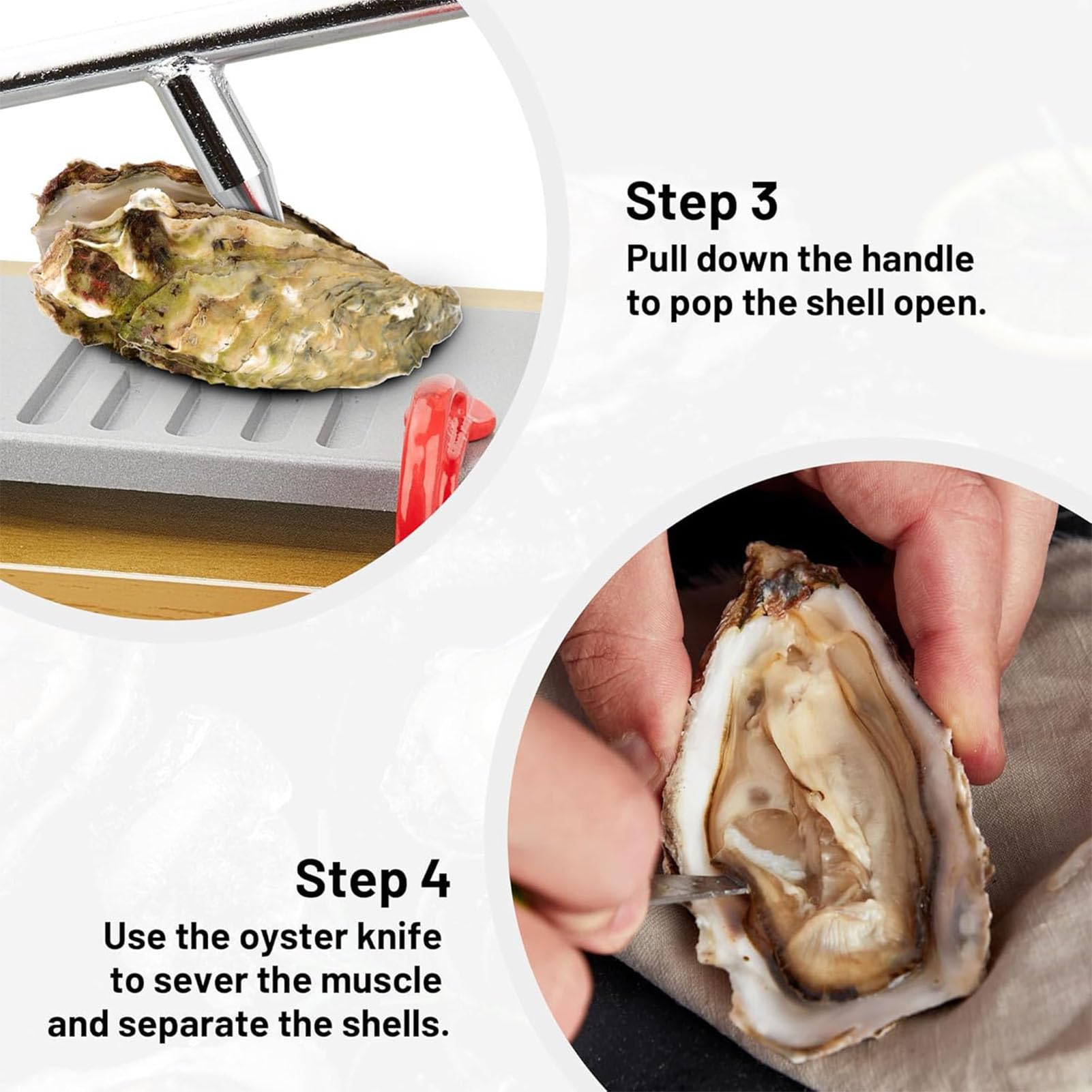 Máquina abridor de almejas de ostras con guante, herramienta de mariscos, 4 alturas ajustables, de acero inoxidable, para bufé familiar, restaurante, cuchillo de ostras