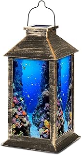 Solar Lantern Vibrant Coral Reef Colorful Fish Clear Blue Water Ocean Ou...
