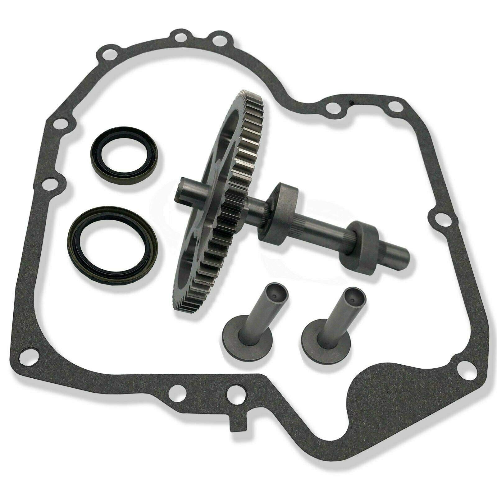 Árbol De Levas Para Briggs & Stratton - Compatible Con 793880, 793583, 792681 Y Más