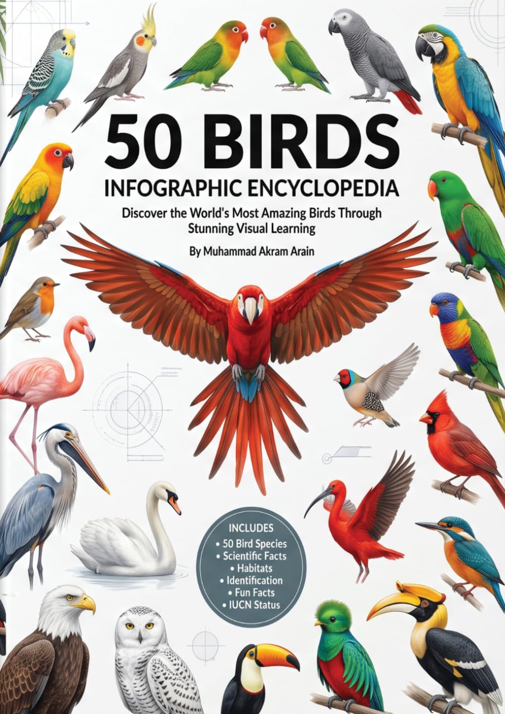 50 Birds Infographic Encyclopedia: Complete Visual Guide to Parrots, Songbirds, Water Birds, Raptors & Exotic Species