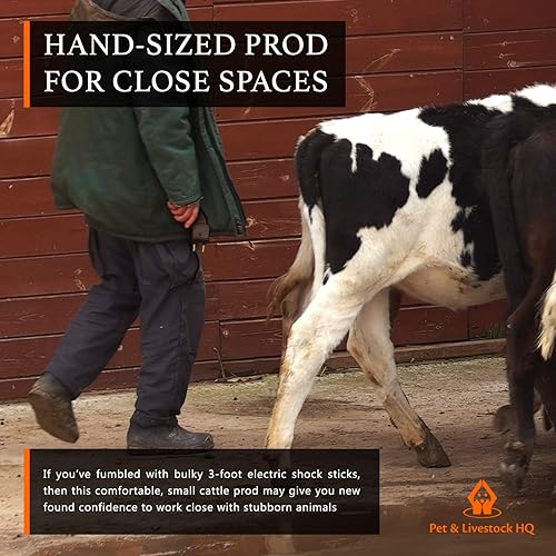 Miniatura 4 de Cattle Prod - Hot Shot de mano - Ganado eléctrico - Mini picador de mano para clasificar vacas cerdos, cabra, ovejas - 4000V Shock & Buzz Chicharras