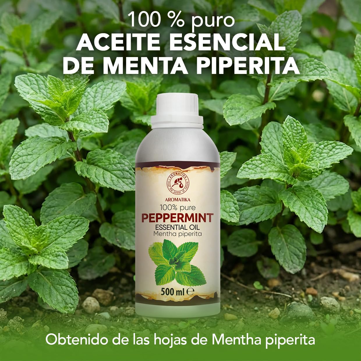 Aceite Esencial de Menta Piperita 500 ml - para Difusores y Aromaterapia | Jabones y velas; aroma a menta; uso para lámparas aromáticas y difusores; fragancias para el hogar; ambiente aromático