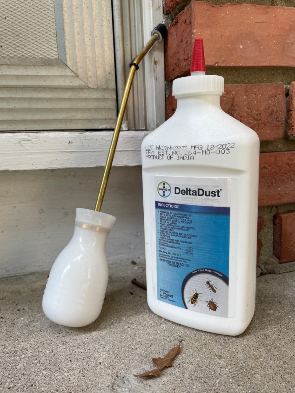 Yellow Jackets! Takes forever but gets the job done!