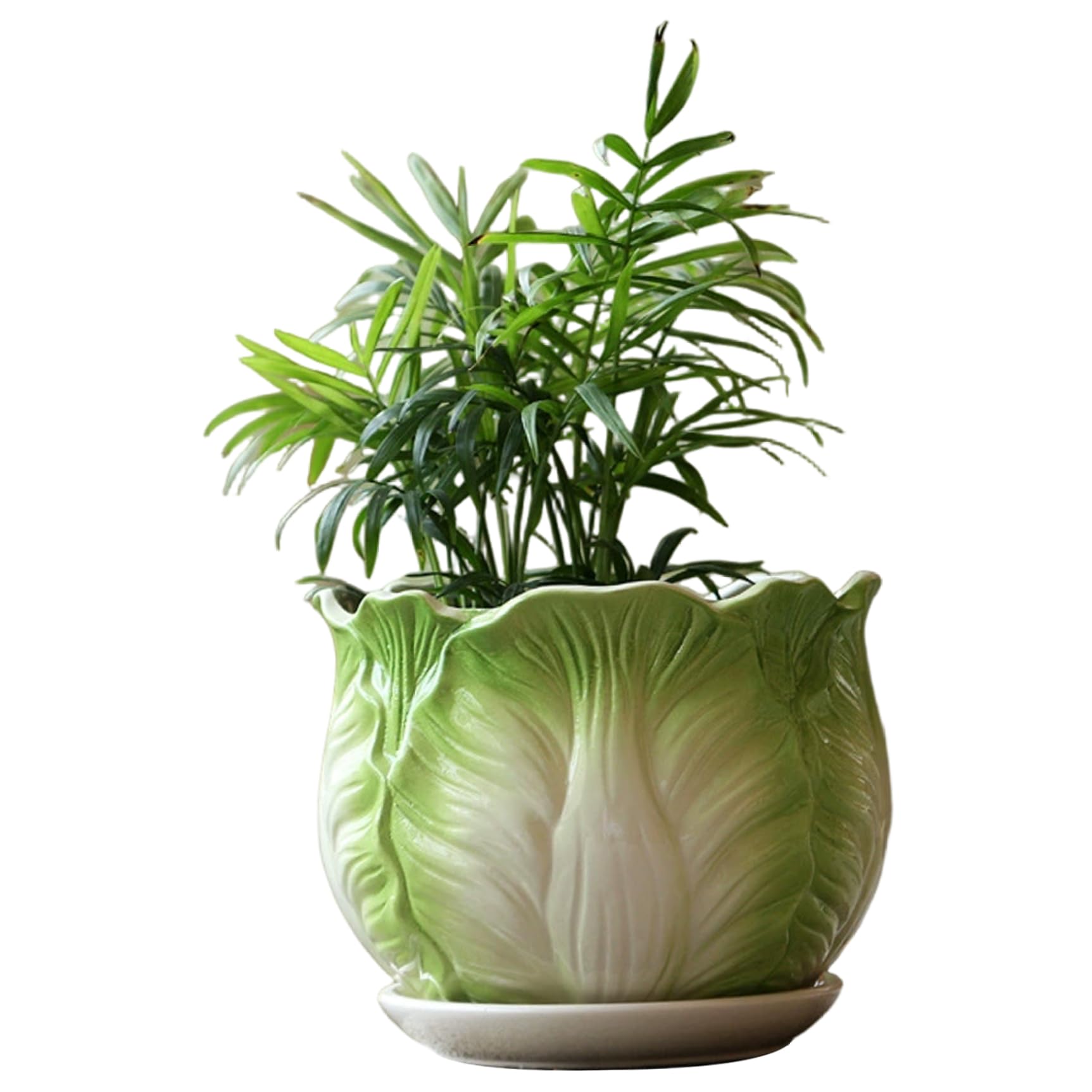 Latemeia Green Ceramic Planter With Saucer, Jade-Inspired Ceramic Flower Pots For Indoor Plants, 5 Inch Medium Bonsai Pots With Drainage Hole, Secure Foam Packaging, Flower, Plant
