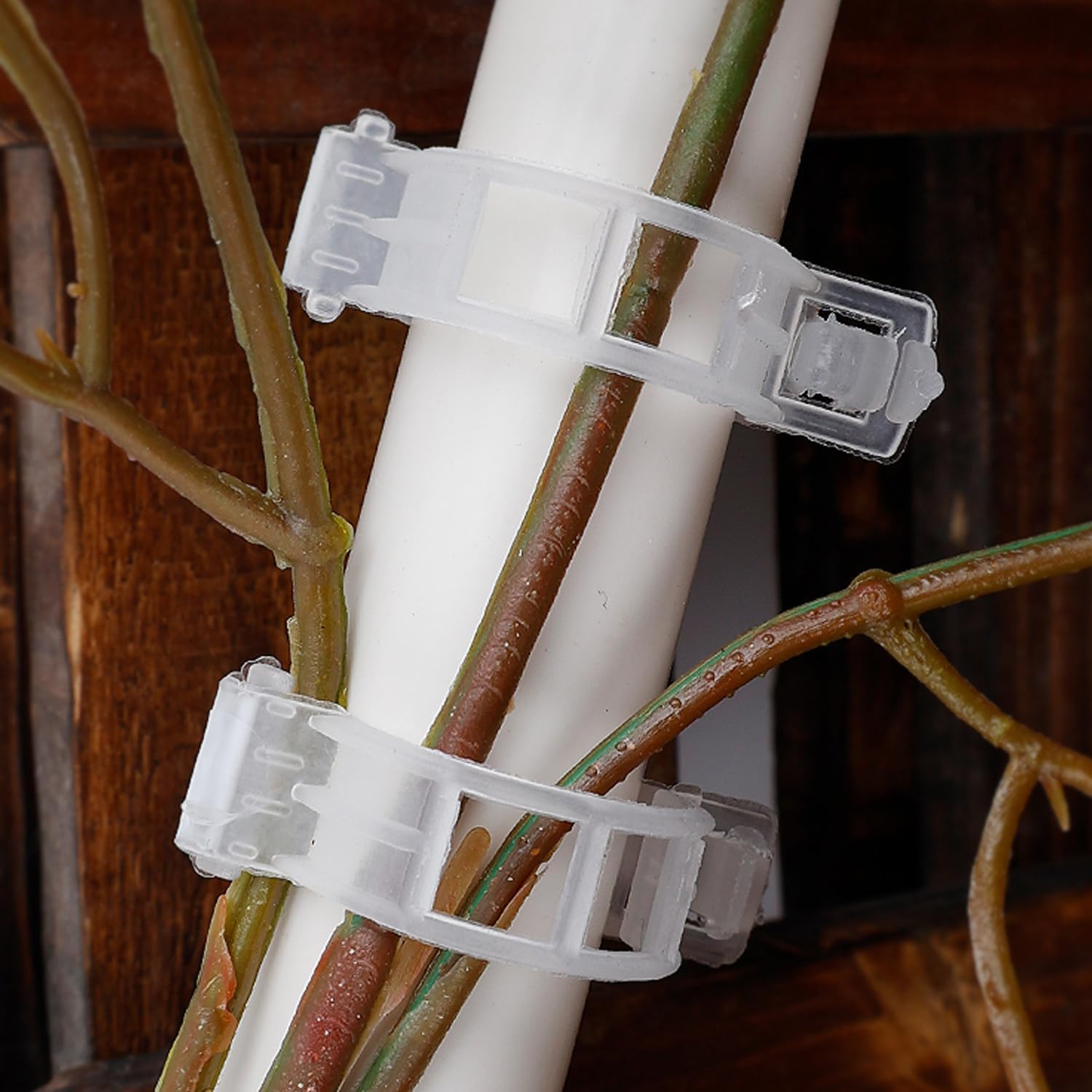 50PCS Plant Clips Supports Reusable Plastic Connects Fixing Vine Tomato Stem Grafting Vegetable Plants Fixturing Clamps