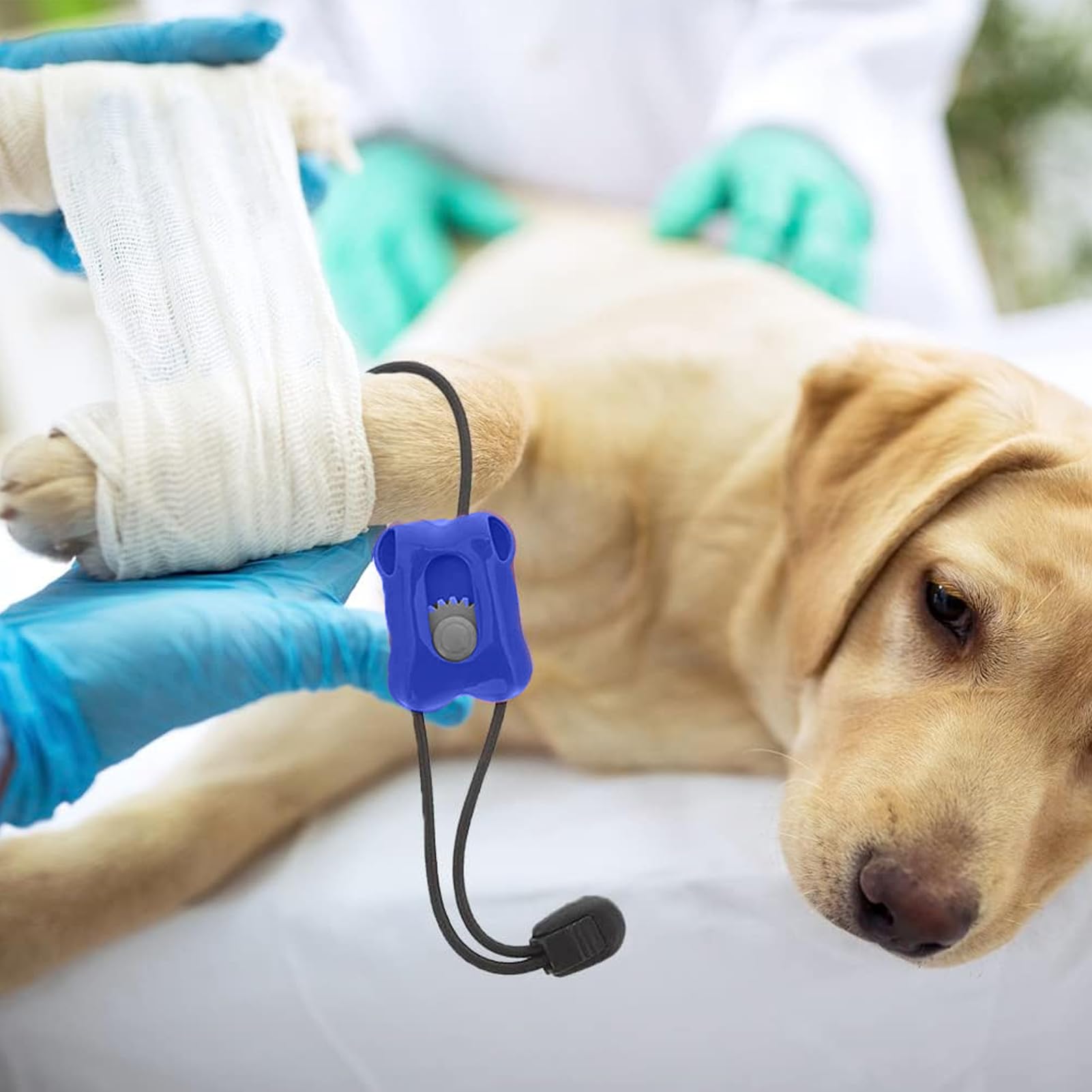 Release Release Sport Tourniquet - Controllo di sanguinamento istantaneo per animali domestici, bendaggio di emergenza portatile | Care della ferita per gatti e cani, pronto soccorso veterinario, kit