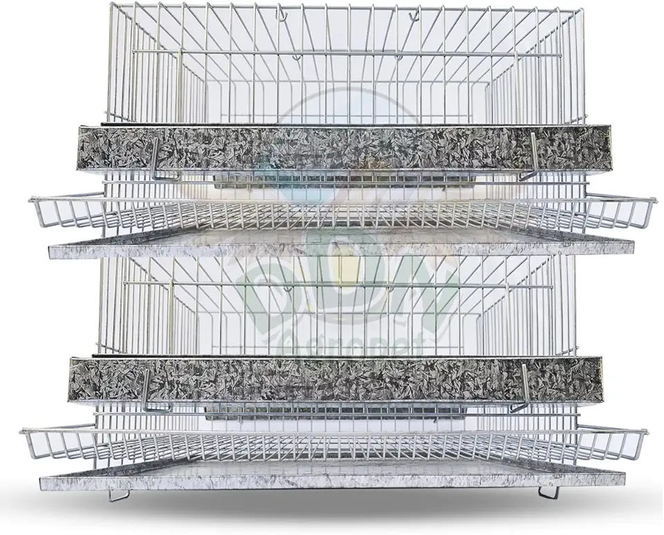 Kit 2 Gaiola Codorna Mini Chinesa Viveiro Bateria 30 Poedeiras Completa