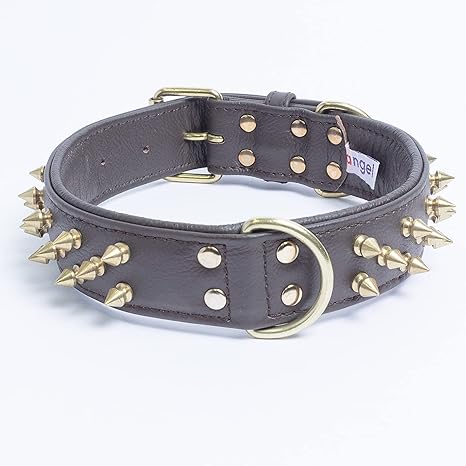 amazon spiked dog collars